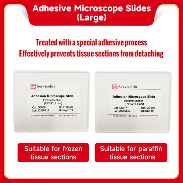 Adhesive Slides (Paraffin...