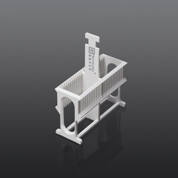 Staining Rack (Plastic Staining Rack)