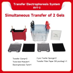 Transfer Electrophoresis...