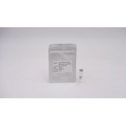 Recombinant Trypsin (MS...
